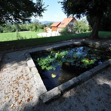 Pri Belokranjcu